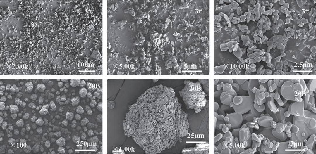 202508191327166515.png 202508191327166515.png