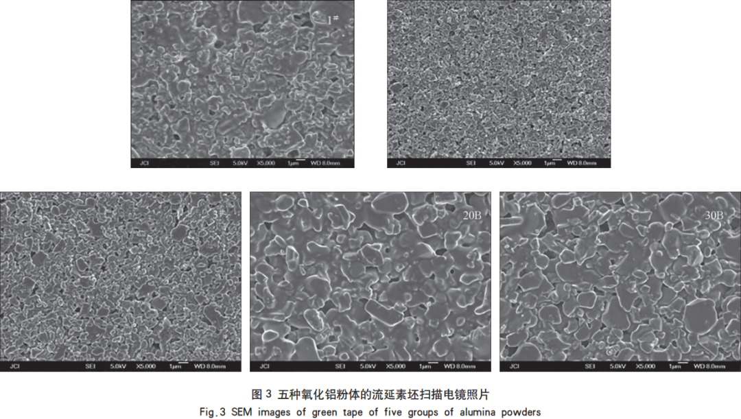 202508191327554861.png 202508191327554861.png